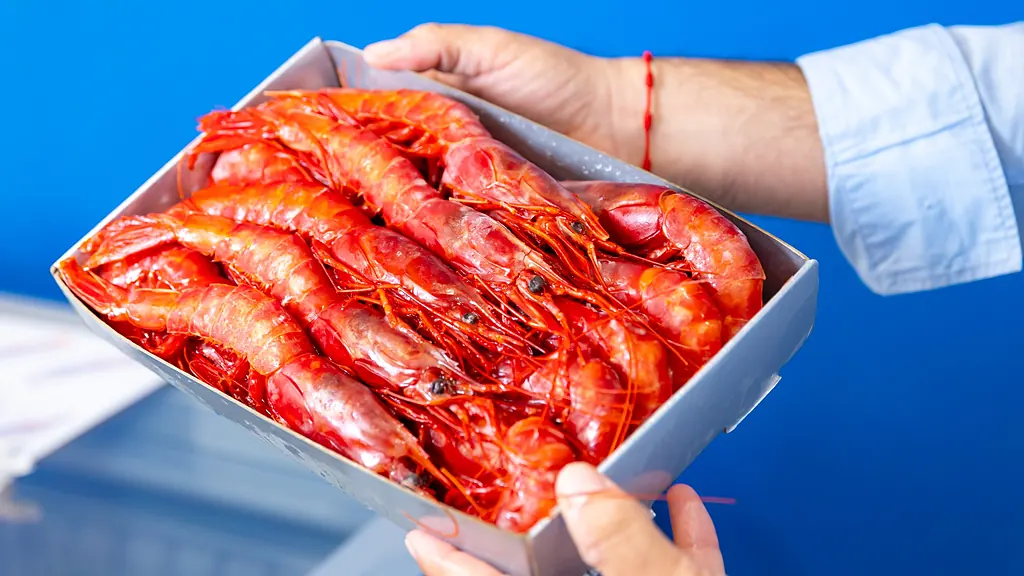Manos entregando una caja de gamba roja sobre el azul corporativo de Congelados Fernando
