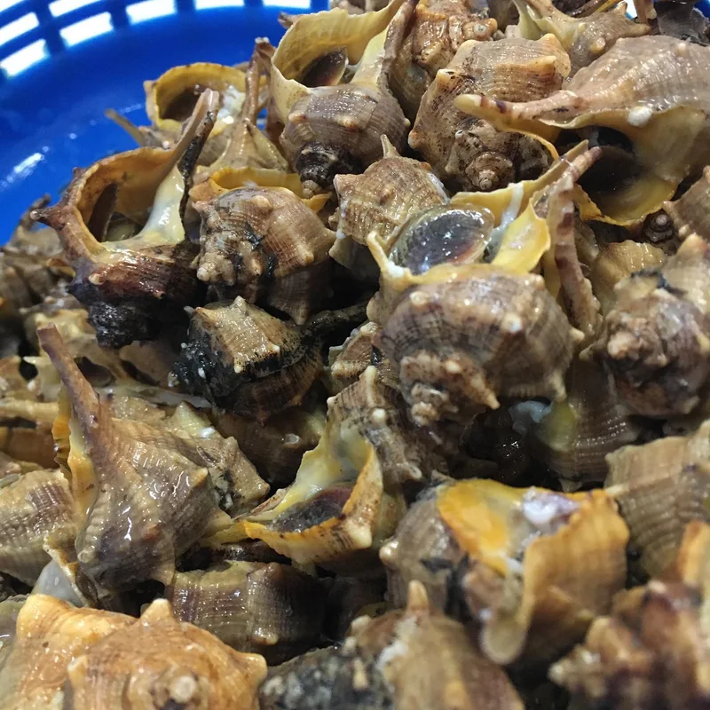 Cañaíllas cocidas de Congelados Fernando