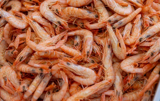 Gambas cocidas recién sacadas, en Congelados Fernando