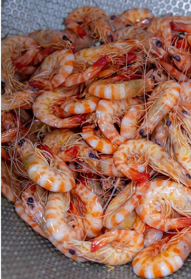 Langostinos tigre cocidos de Congelados Fernando, en un colador metalico